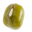 Mung bean